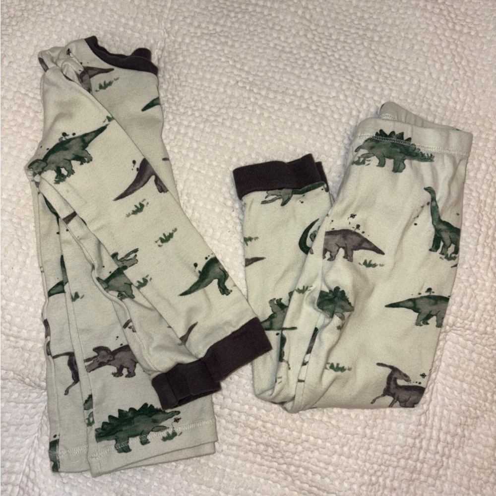 Burt’s Bees Dinosaur Print Kids Pajamas